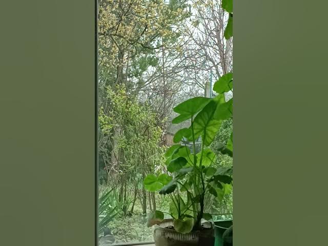 Video thumbnail for 22 март 2023 г.