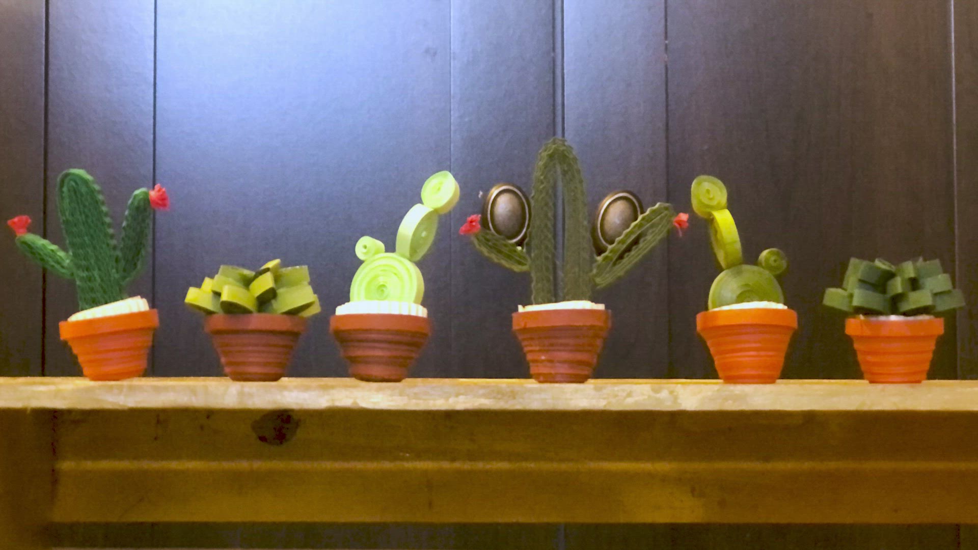 'Video thumbnail for Let's craft a succulent!'