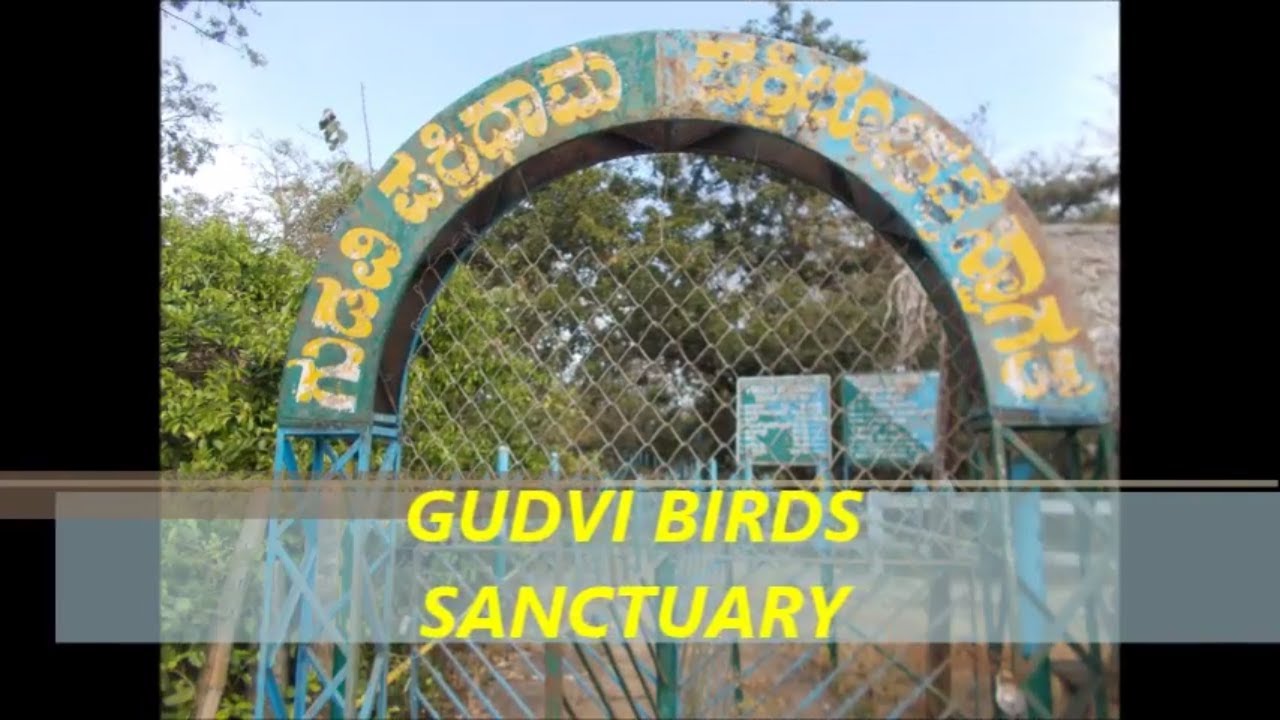 'Video thumbnail for Gudavi birds sanctuary./Gudavi pakshi dhama./Tourist attractions in Shimoga district'