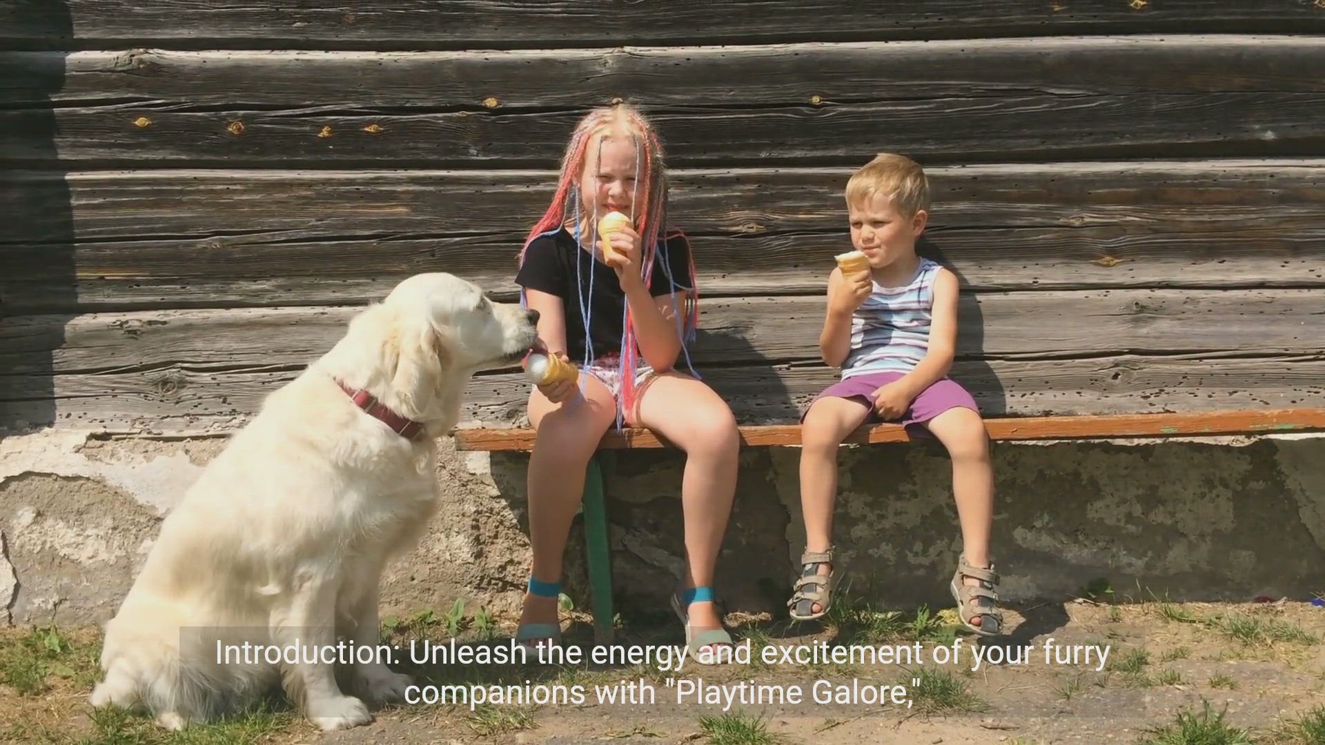 'Video thumbnail for Playtime Galore: Interactive Games for Energetic Pets!'