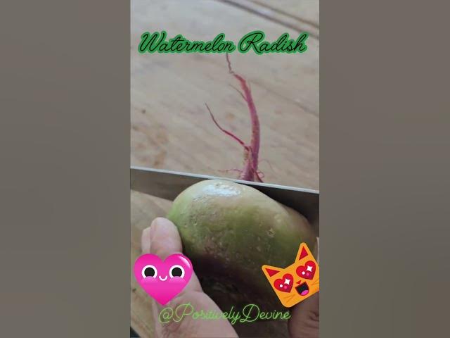 Video thumbnail for A watermelon and a daikon radish had a baby…and that baby grew up fabulous! 😍