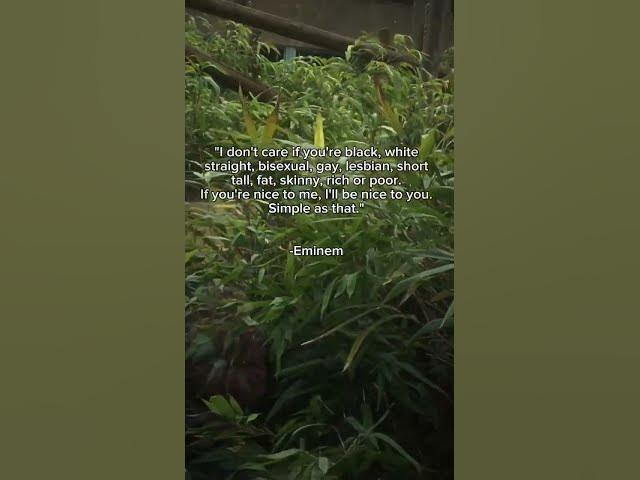 Video thumbnail for Quote by Eminem