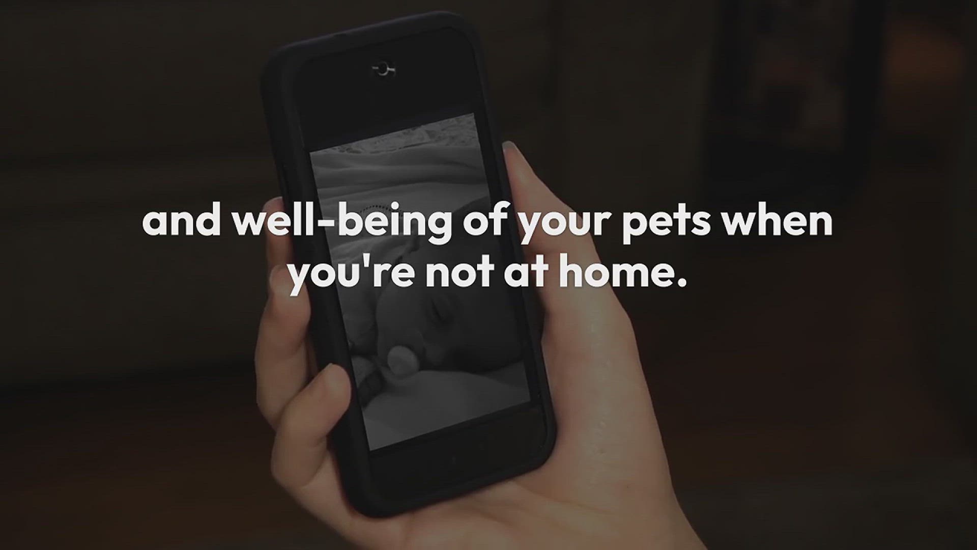 Video thumbnail for Pet Monitoring While Away