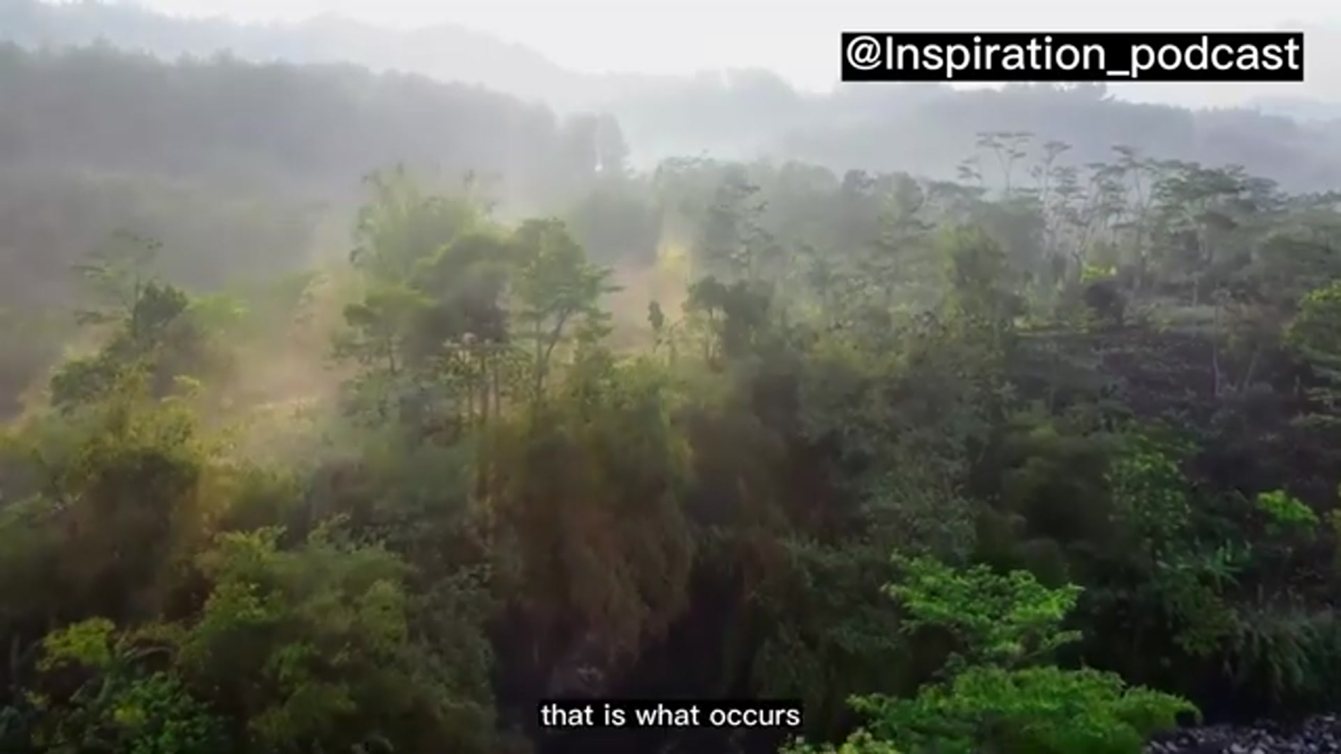 Video thumbnail for How to Let Go Of The Past And Start Living In The Present Moment (Nature view) _ Inspiration Podcast