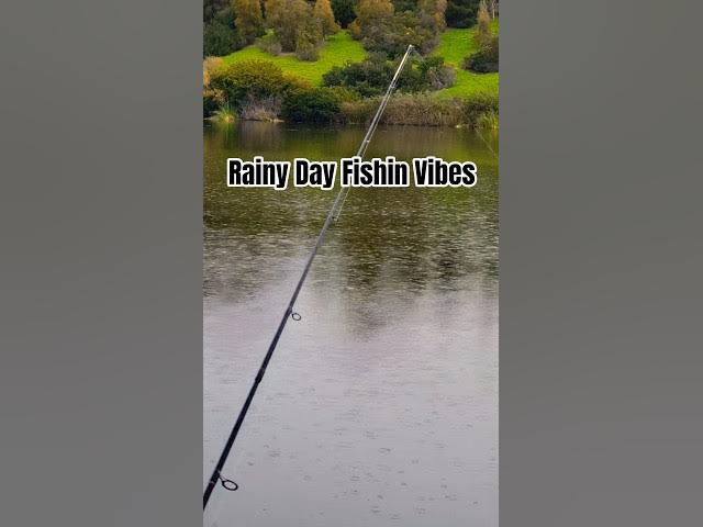 Video thumbnail for Relaxing Day Fishing 🌧🎣