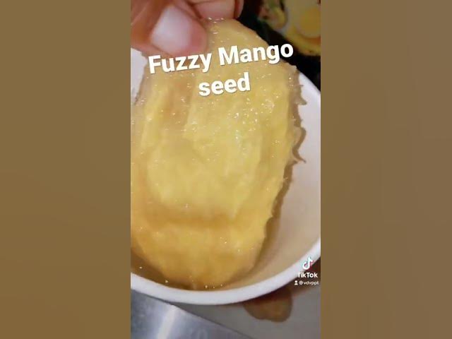 Video thumbnail for Lately, I’ve been very focused on growing and specializing in certain plant phytochemicals!