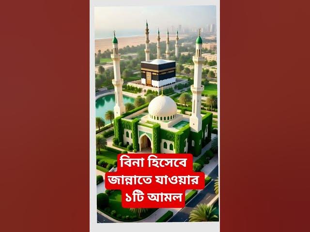 Video thumbnail for বিনা হিসেবে জান্নাতে যাওয়ার ১টি আমল#shorts #viral#sheikh_ahmadullah#islamicalortips