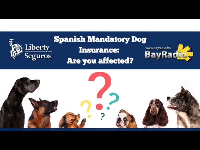 'Video thumbnail for SPANISH MANDATORY DOG INSURANCE | ARE YOU AFFECTED?'
