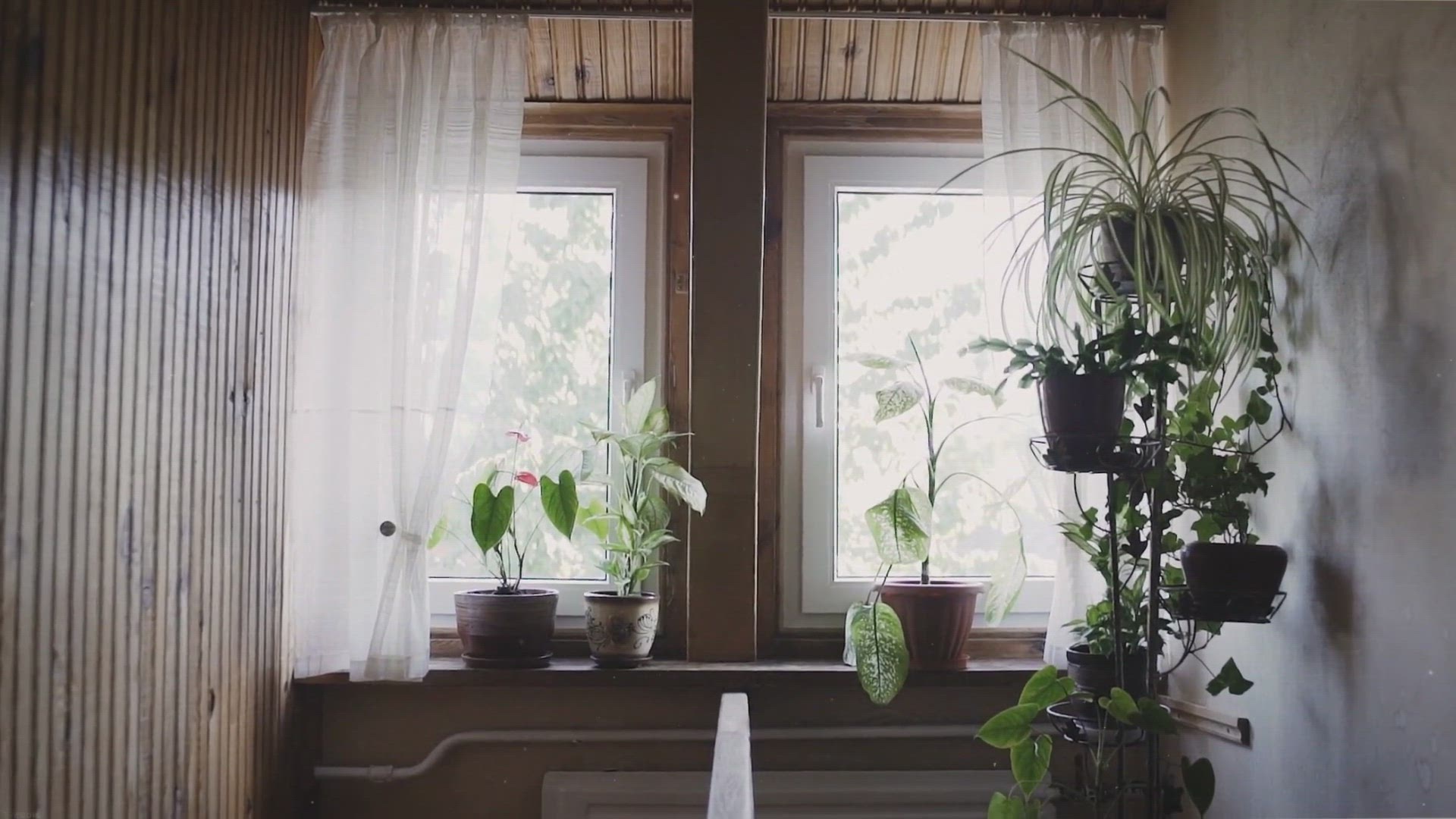 Video thumbnail for 22 Indoor Garden Ideas for Small Apartments
