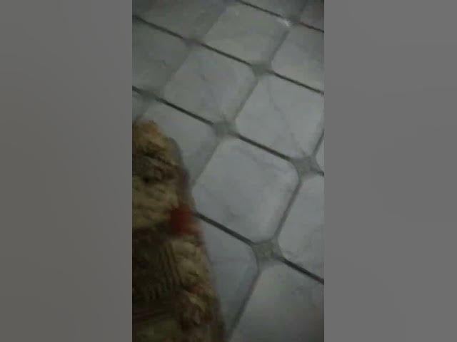 Video thumbnail for قفزت وتكسرت عضامي