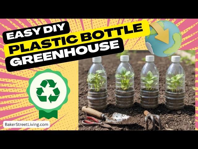 Video thumbnail for DIY Mini Greenhouse from Plastic Water Bottle | Easy Recycled Bottle Seed Starter