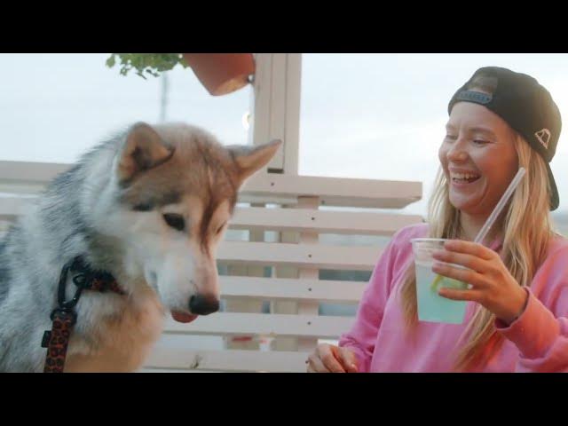 Video thumbnail for What is the Dog Jowls?