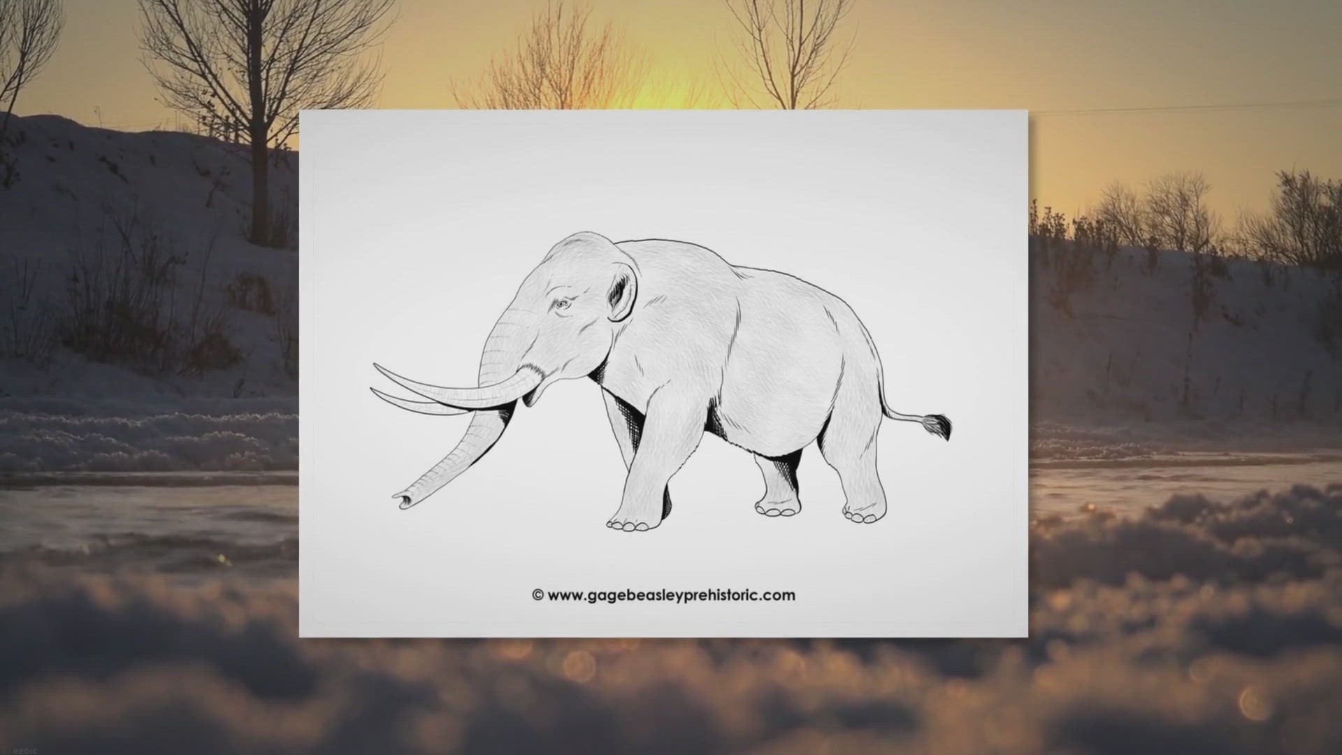 Video thumbnail for An Ultimate Guide to Mastodons: Prehistoric Behemoths