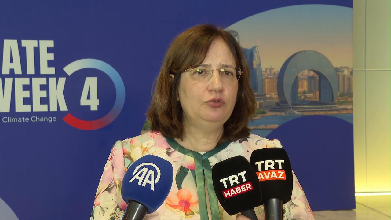 Video thumbnail for Azerbaijan: Baku Climate Action Week 2026 begins with focus on COP31.