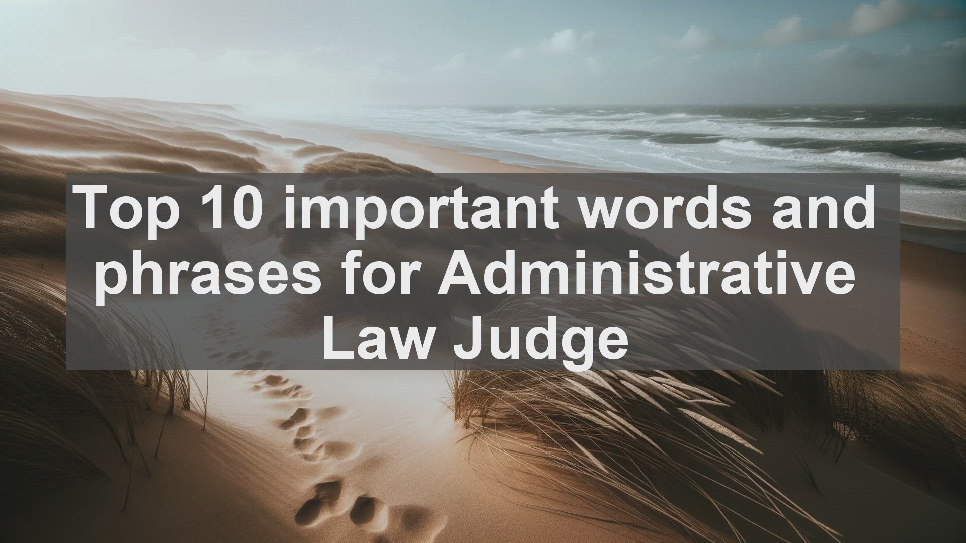 'Video thumbnail for Top 10 important words and phrases for Administrative Law Judge'