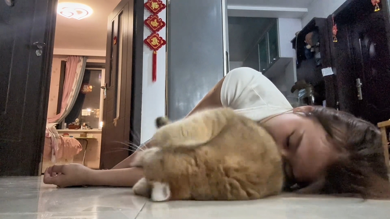 Video thumbnail for Cat Comforts Owner Pretending to Faint in Jiangsu