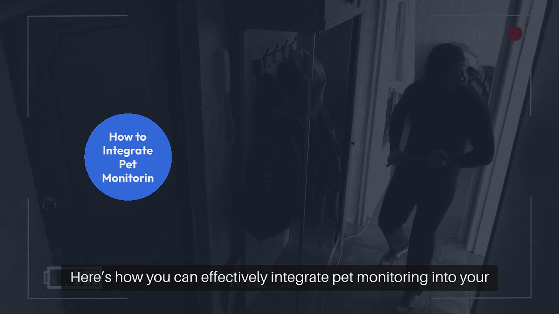 Video thumbnail for Pet Monitoring with Home Security System