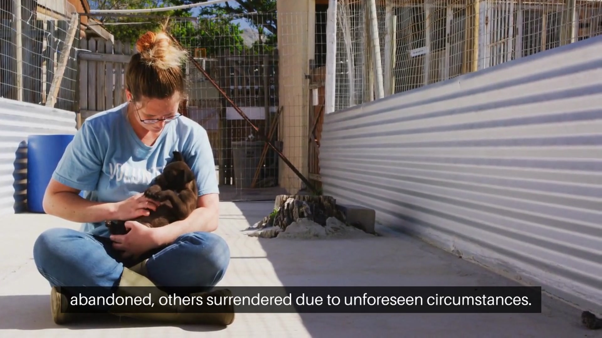 Video thumbnail for Adopting a Pet Saving Lives