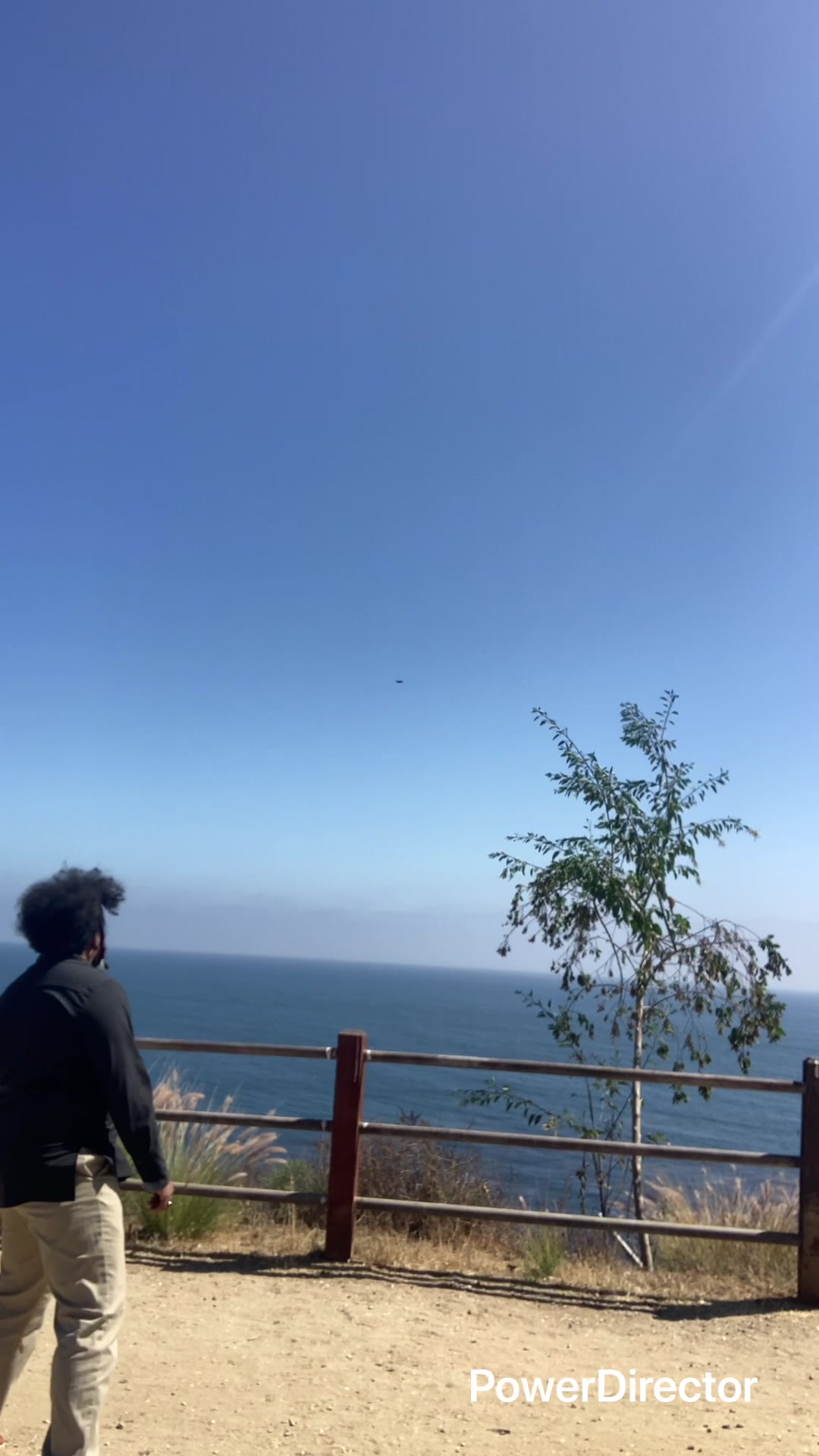 Video thumbnail for Dancing with the Birds & Dragons