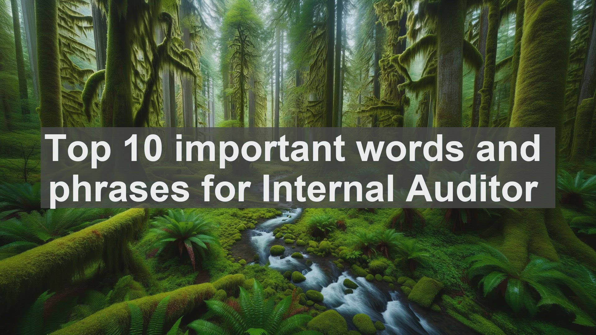 'Video thumbnail for Top 10 important words and phrases for Internal Auditor'