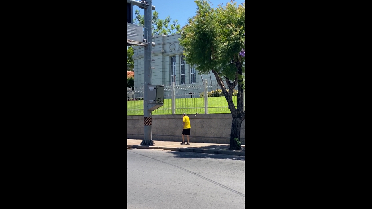 Video thumbnail for Man Has a Surprising Encounter With a Territorial Bird