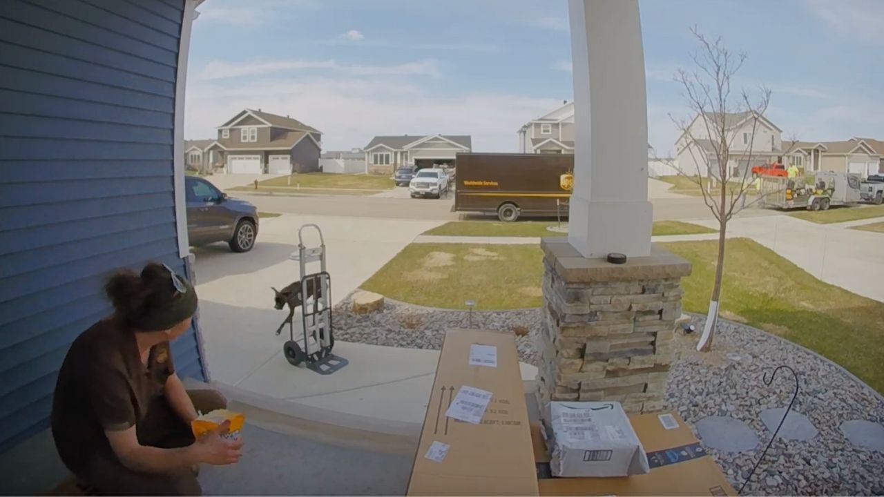 Video thumbnail for UPS Driver Rescues Dog That Escaped From House
