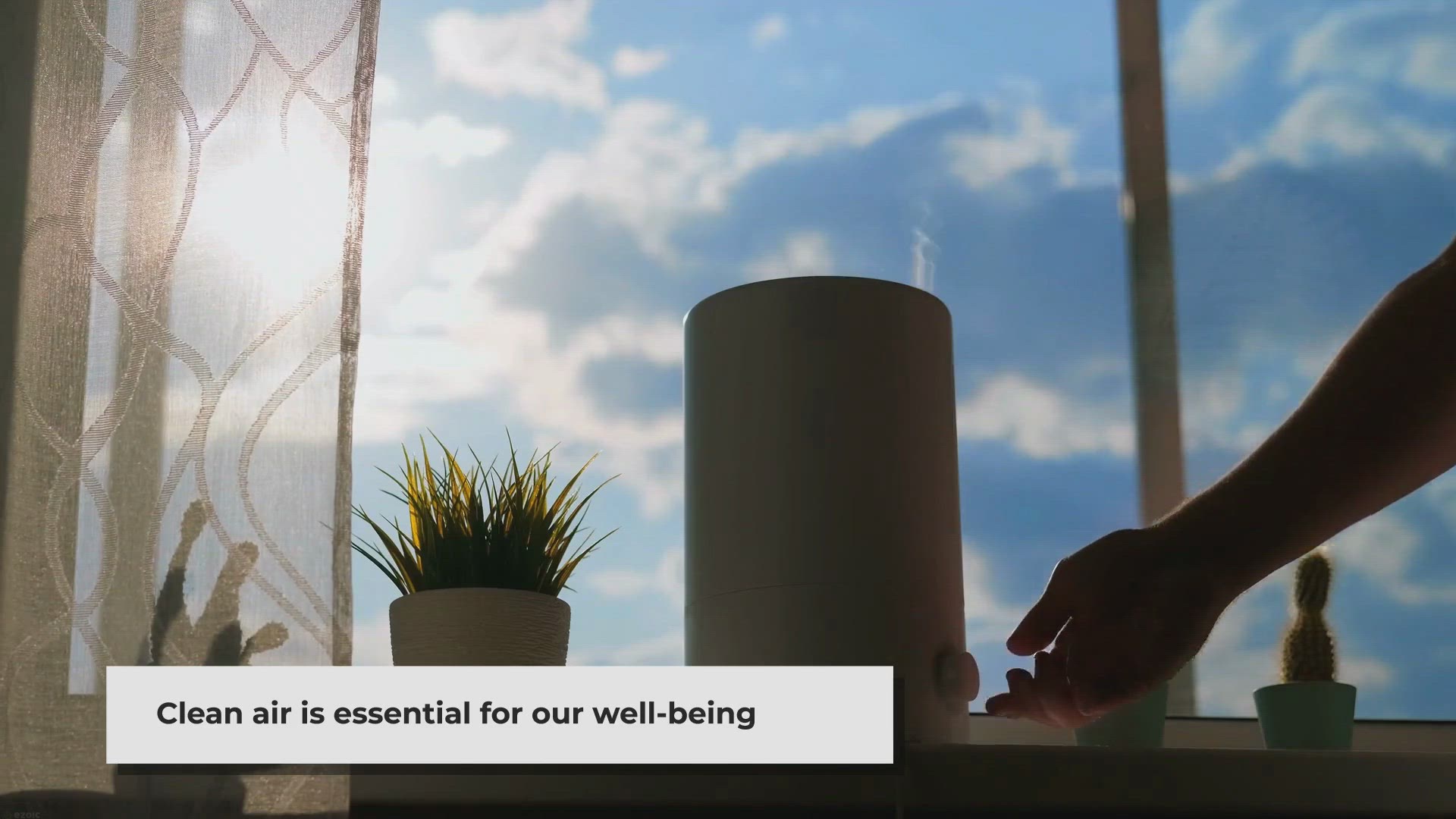 Video thumbnail for Best Houseplants for Air Purification: Breathe Fresh with Green