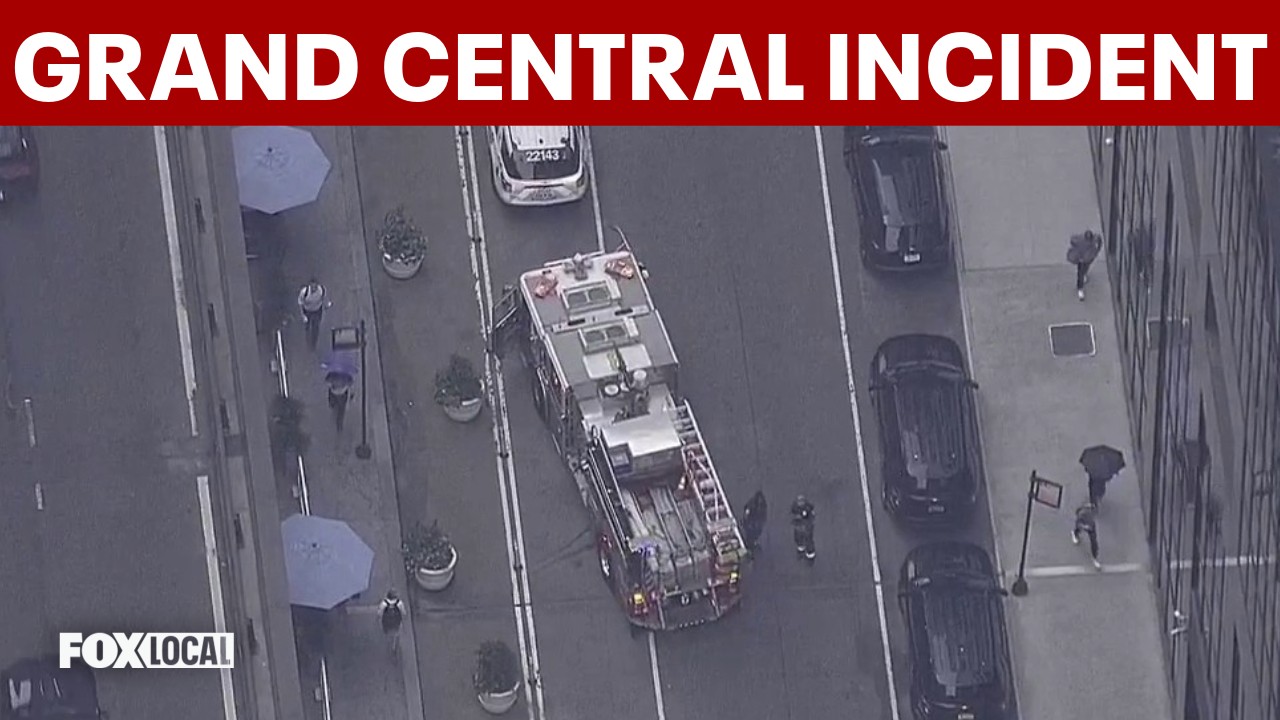 Video thumbnail for Police take person into custody after train incident at NYC's Grand Central Terminal