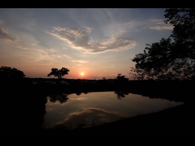 Video thumbnail for Update 4-22-2024