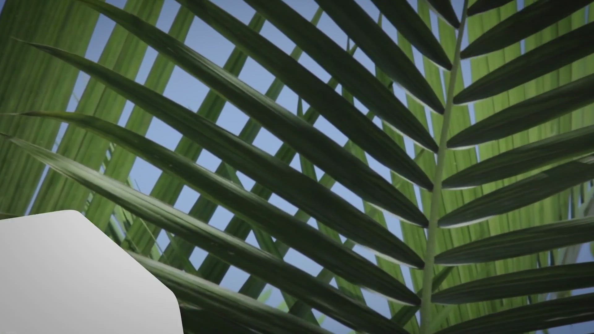 Video thumbnail for An Exciting 3 Days In Mykonos