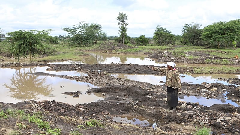 Video thumbnail for Africa overtakes Asia as world's hunger hot spot, UN report finds