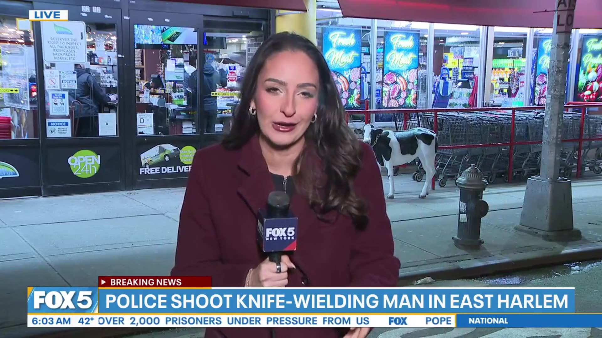 Video thumbnail for Police shoot knife-wielding man in East Harlem