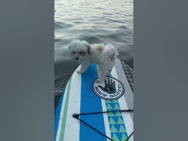 Video thumbnail for Day 10 679/86,400 #shorts