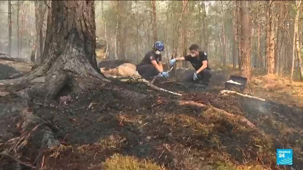 Video thumbnail for Volunteer firefighter admits to starting a fire in the Fontainebleau forest