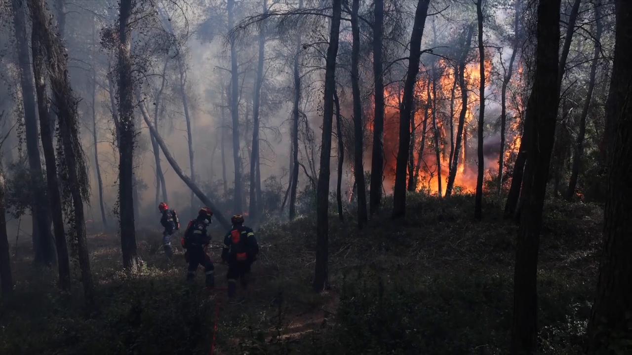 Video thumbnail for Greece: Firefighters battle wildfire near Porto Germeno, Greece.