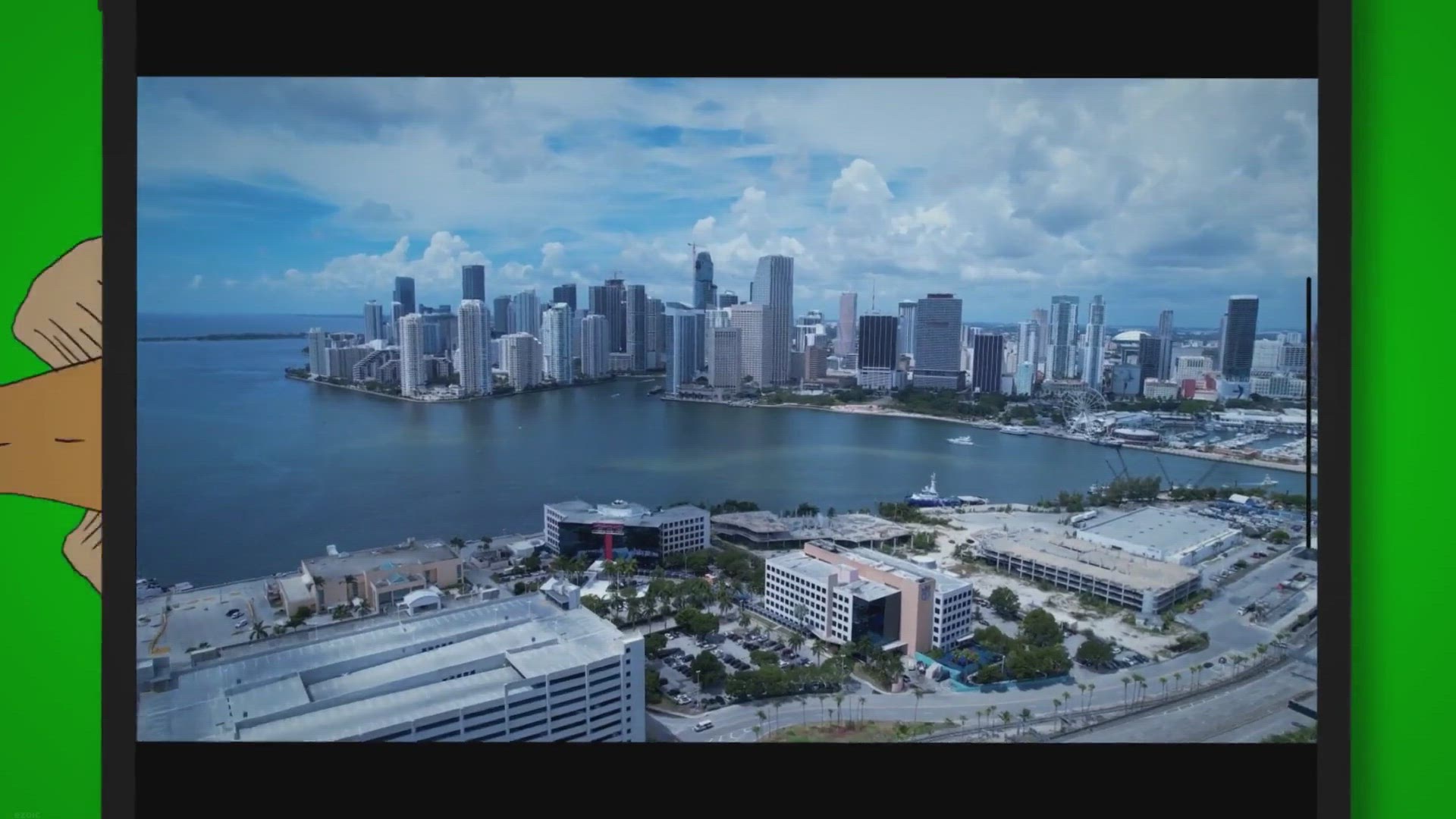 Video thumbnail for Shark Attacks