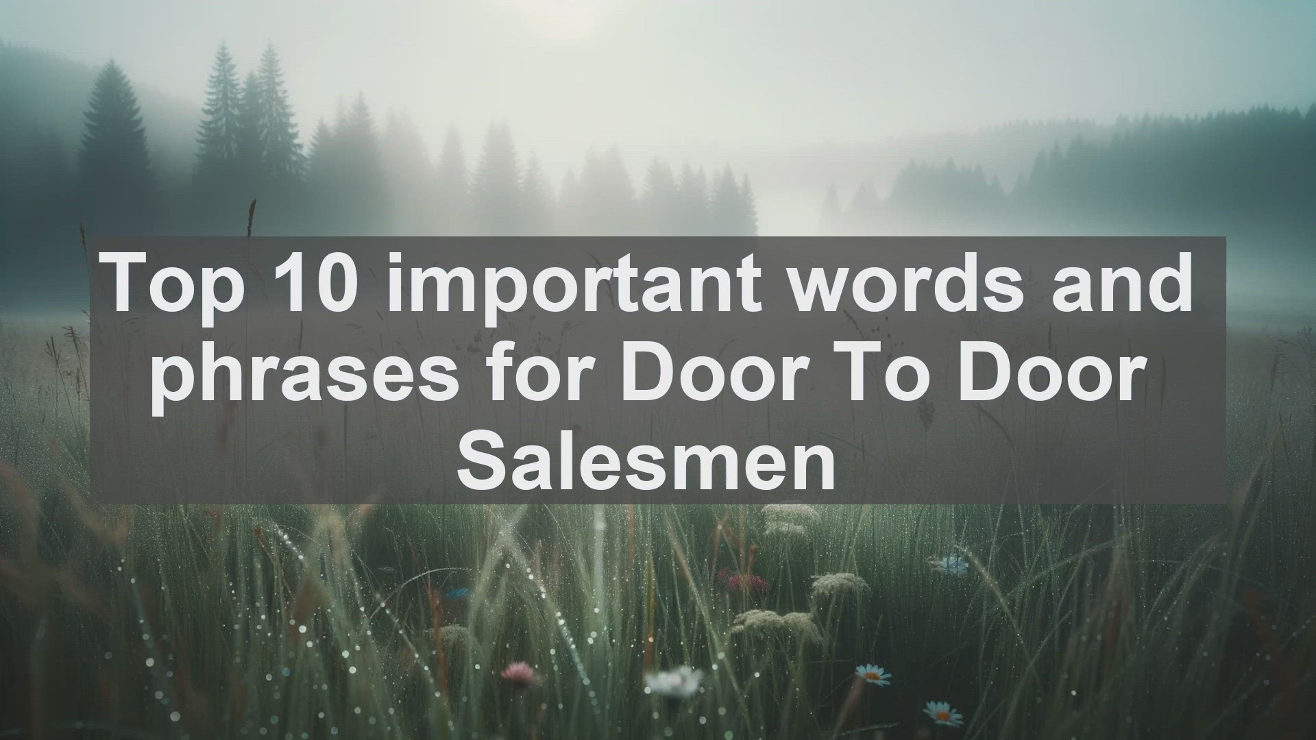 'Video thumbnail for Top 10 important words and phrases for Door To Door Salesmen'