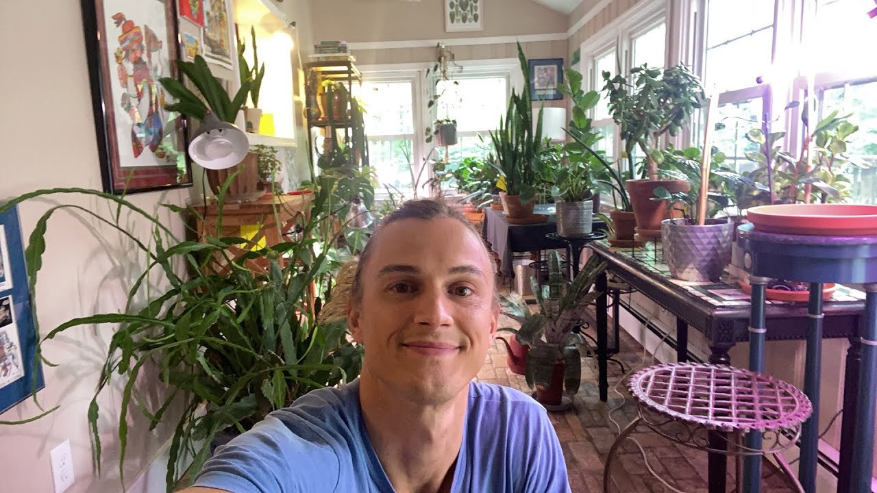 Video thumbnail for Houseplant Mayhem! Back in PA #houseplants #plants #plantlove