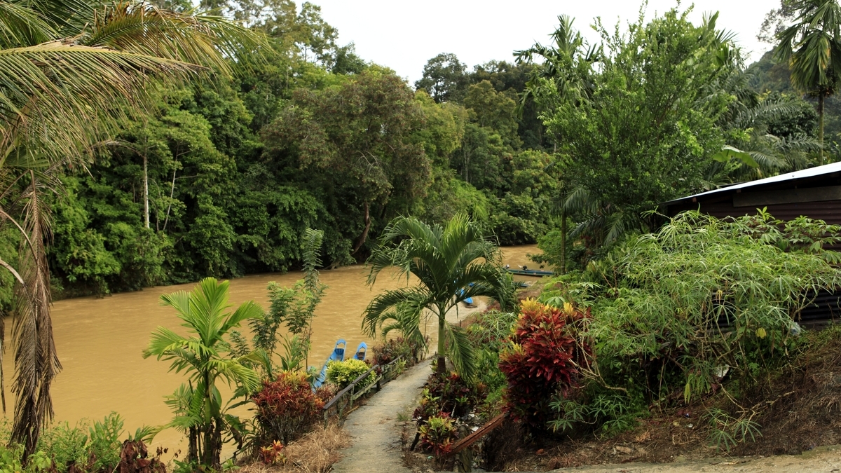 'Video thumbnail for Im Langhaus der Iban | Borneo'