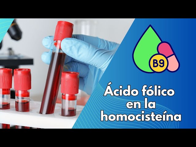 'Video thumbnail for Ácido fólico en la  homocisteína'