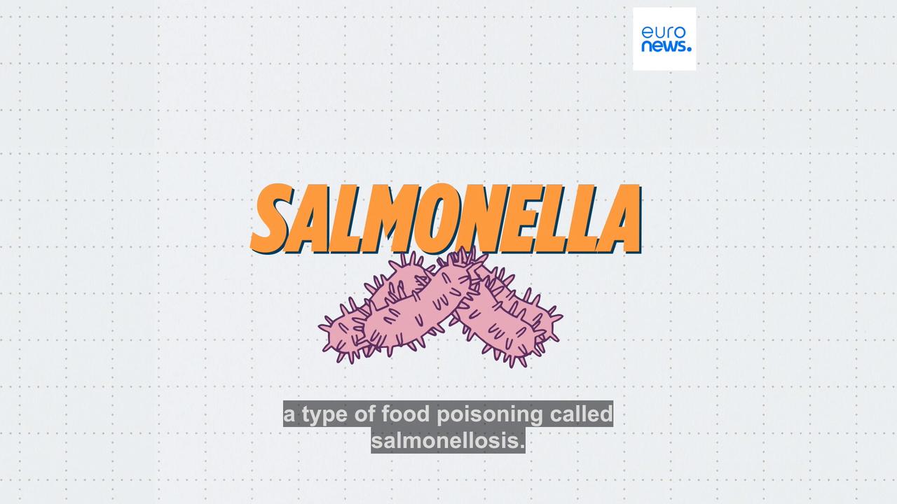 Video thumbnail for Where in Europe has seen the most outbreaks of Salmonella?