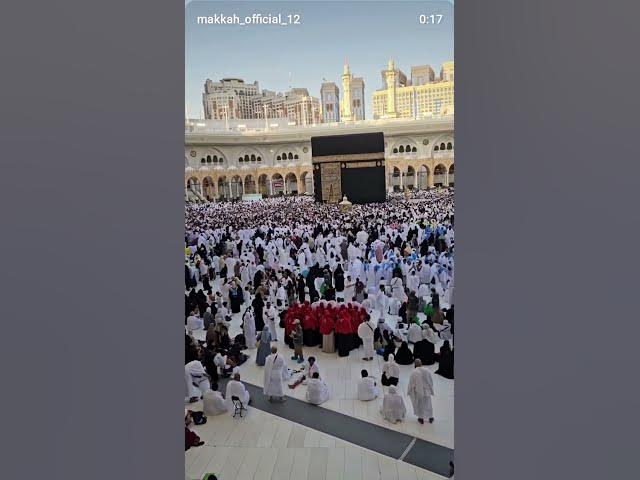 Video thumbnail for subah uthate Hee ye Kalmiyat ped Le bhai# shorts#