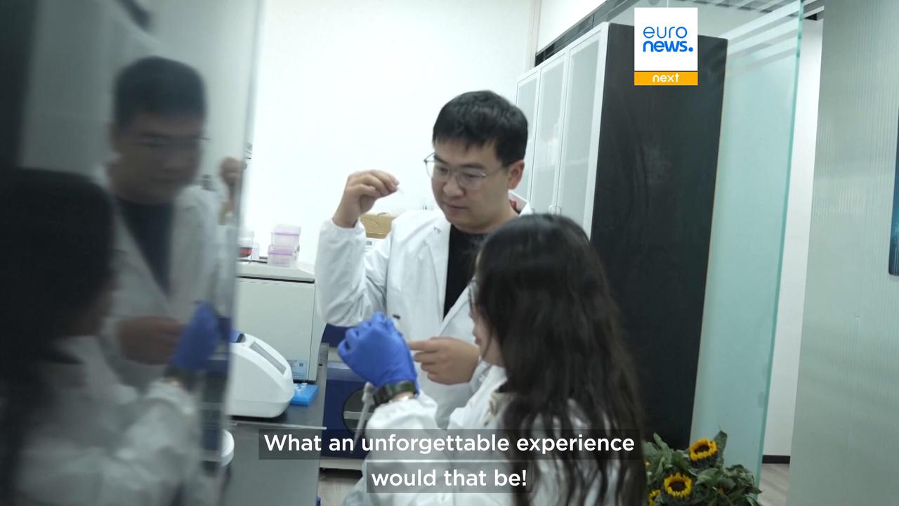 Video thumbnail for Chinese scientists unveil glowing Avatar-like plants that could light cities without electricity