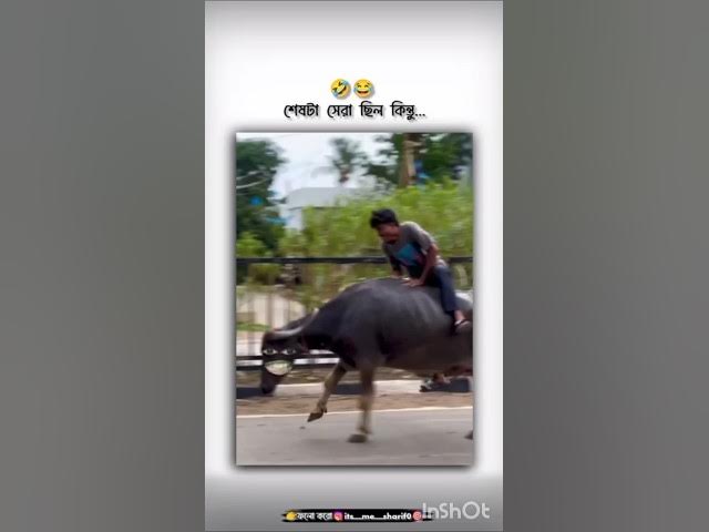 Video thumbnail for funny video 🤣😂🤣 #comedyfilms #কাচাবাদামsong #banglasarabarnaandbanjanbarna #funny #comedymovies