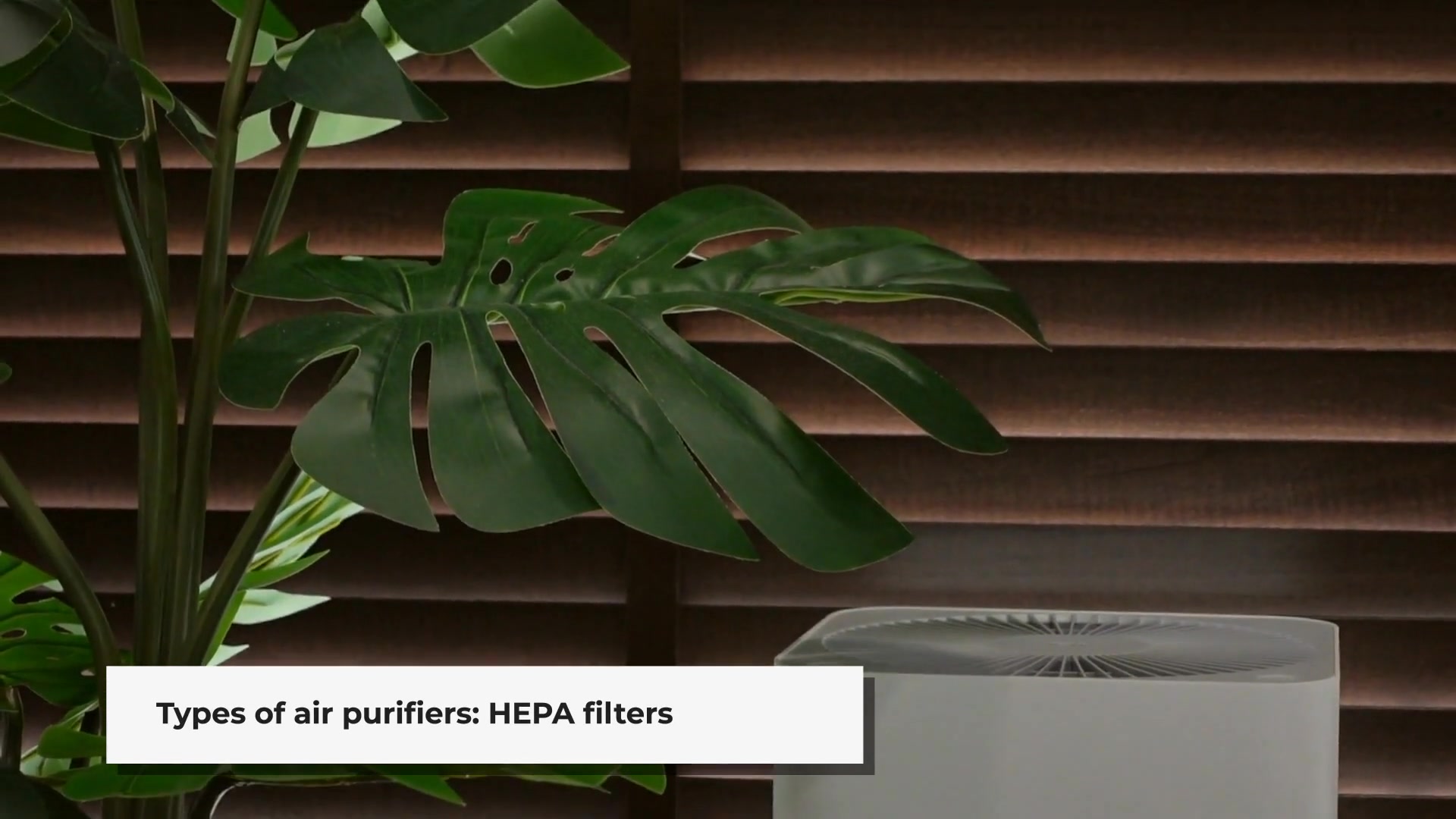 Video thumbnail for Filtering Facts: What You Need to Know Before Buying an Air Purifier