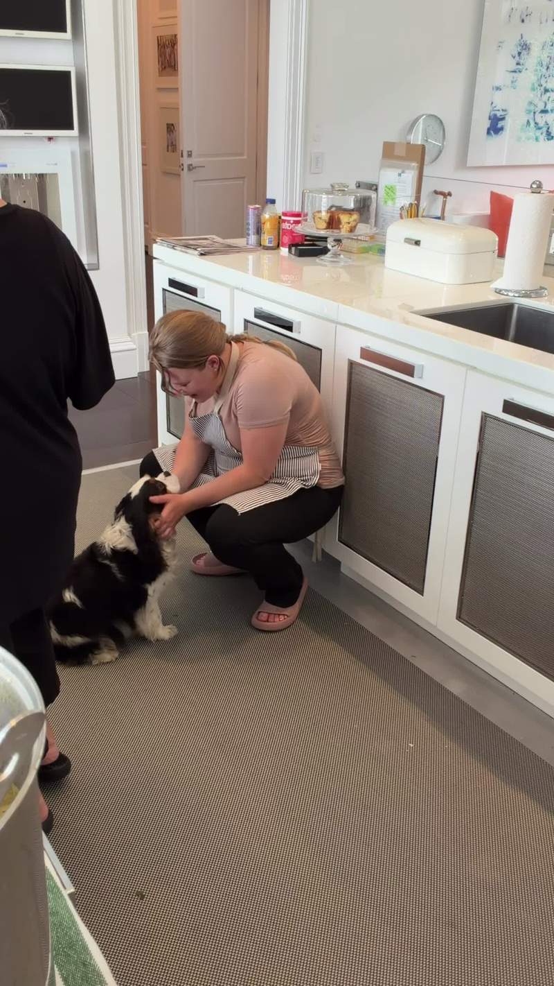 Video thumbnail for Woman Reunites with Client Dog in the Kitchen