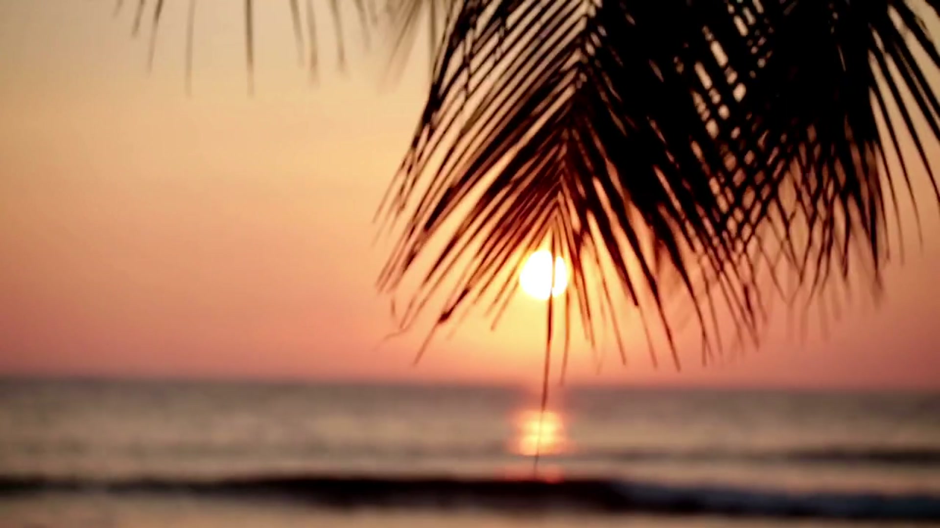 Video thumbnail for I Turned My Apartment Into A Real Life Luau   Cooking the States (Hawaii)(720P HD)