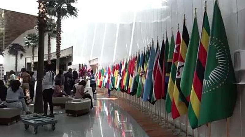 Video thumbnail for Africa Day celebrations spotlight unity, youth and global ambition