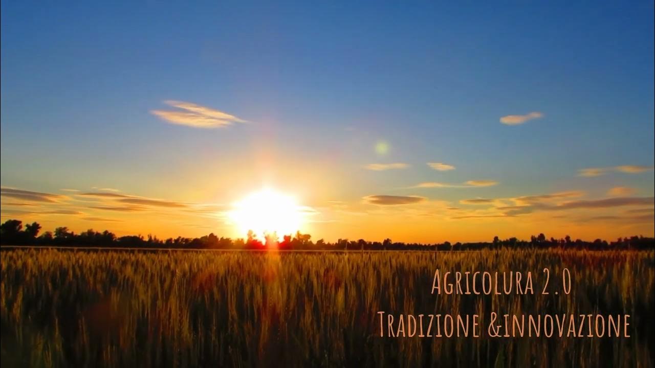 Video thumbnail for WWII videoL'agricoltura sostenibile: come ridurre l'impatto ambientale dell'agricoltura