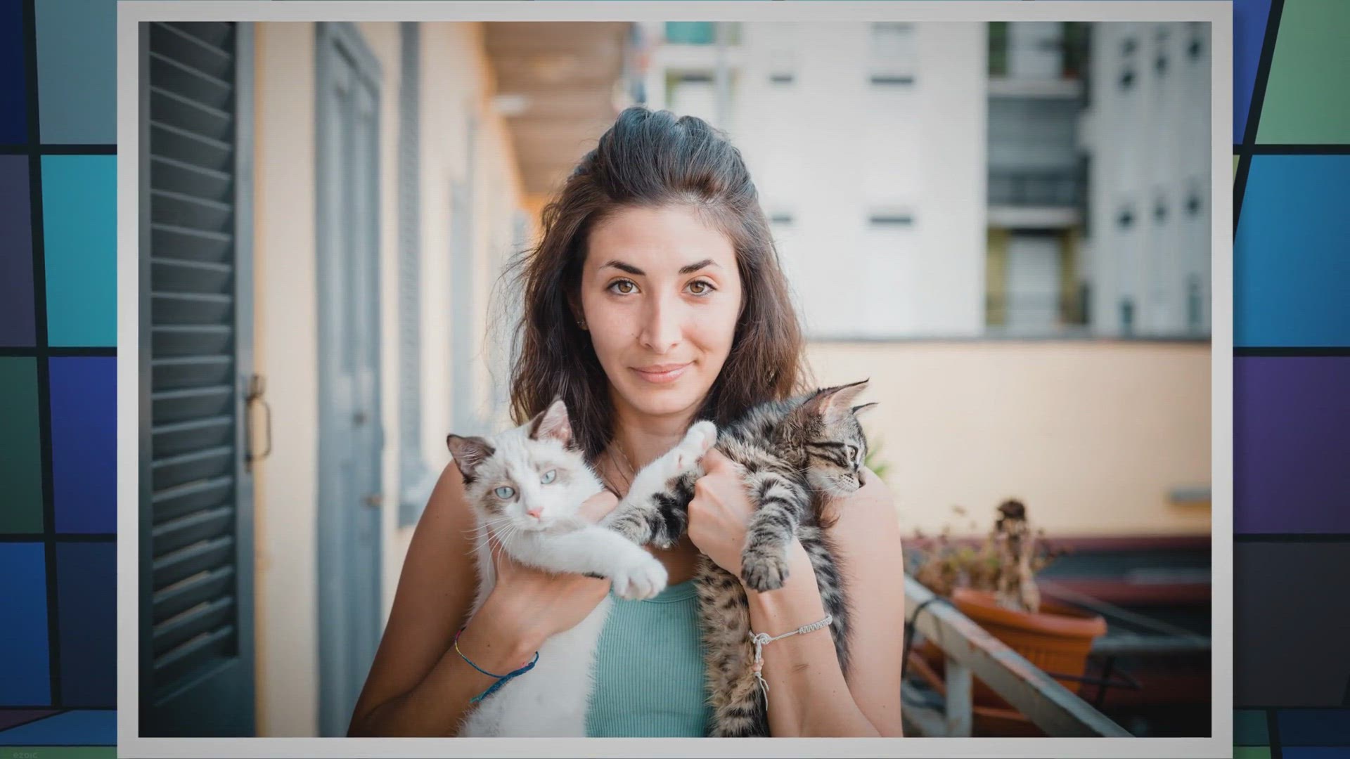 'Video thumbnail for Do Cats Know That They Are Cute?'